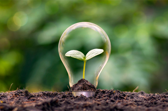 summitBoard south africa