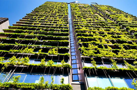 Green Demands With SummitBoard