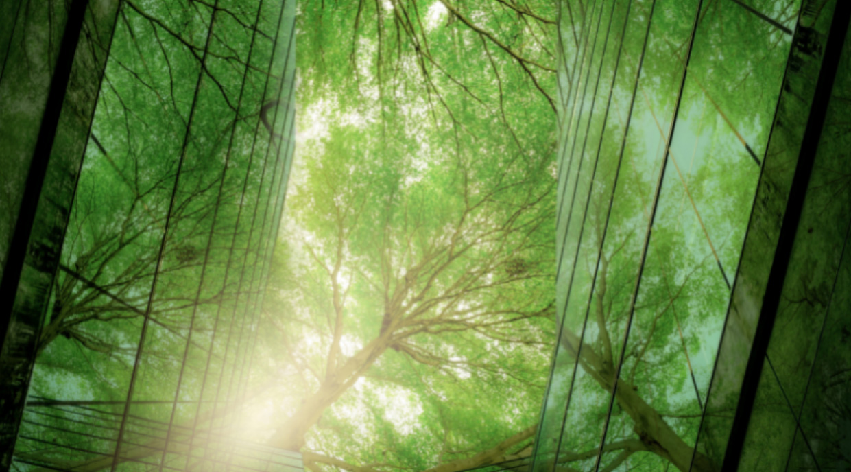 Insulation board best environmentally 