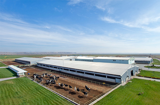 Agricultural insulation solutions