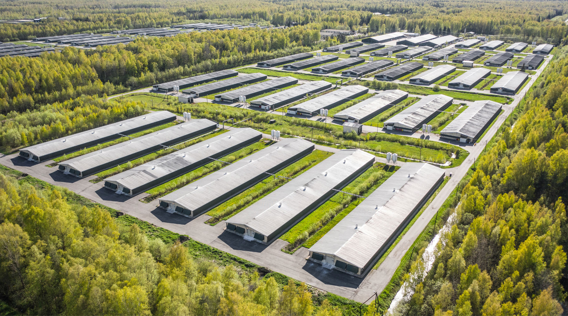 Poultry_Farming_South Africa